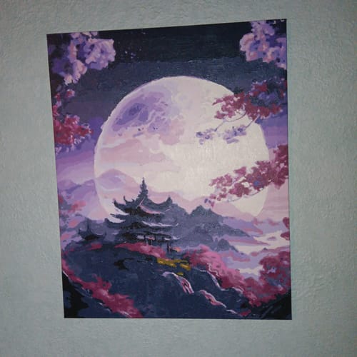 Customer photo review of Custom Paint by Numbers Kit