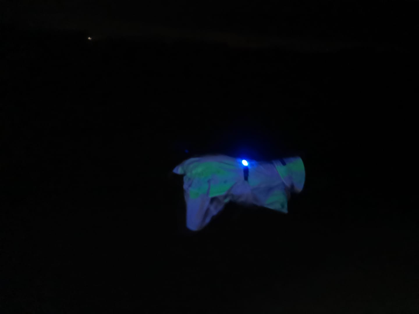Customer photo review of Safety Light - 4-i-1 Lygte Til Hund