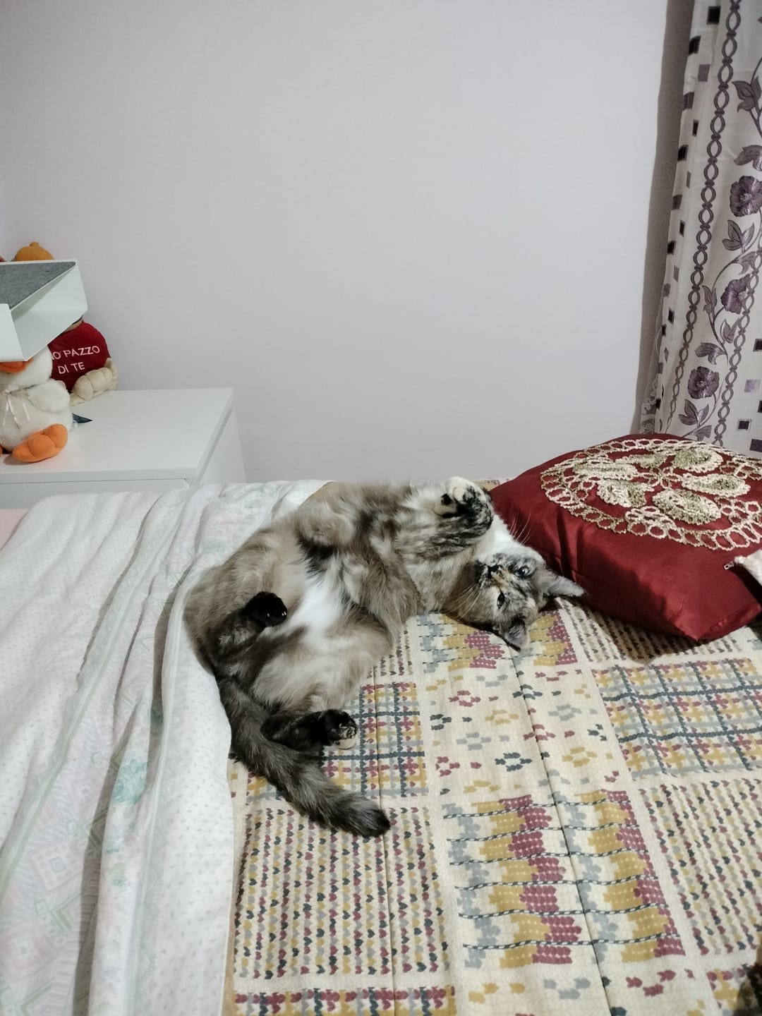 Customer photo review of Panno Rapido Lava e Asciuga in una Passata | Il panno più venduto su TIKTOK