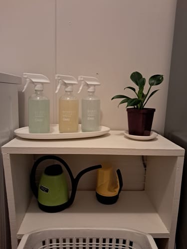 Customer photo review of Dazz Spray Collection