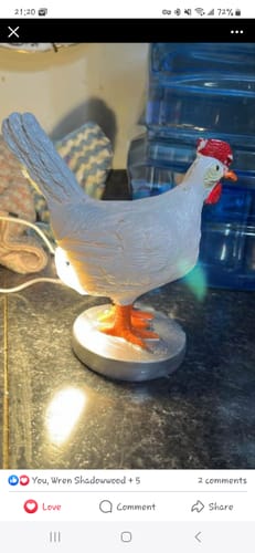 Customer photo review of Chicken and Egg Night Light