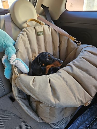 Customer photo review of Car seat for dogs beige