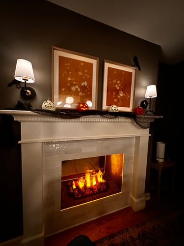 Customer photo review of Dimplex 20'' Opti-Myst Pro Built-In Electric Cassette