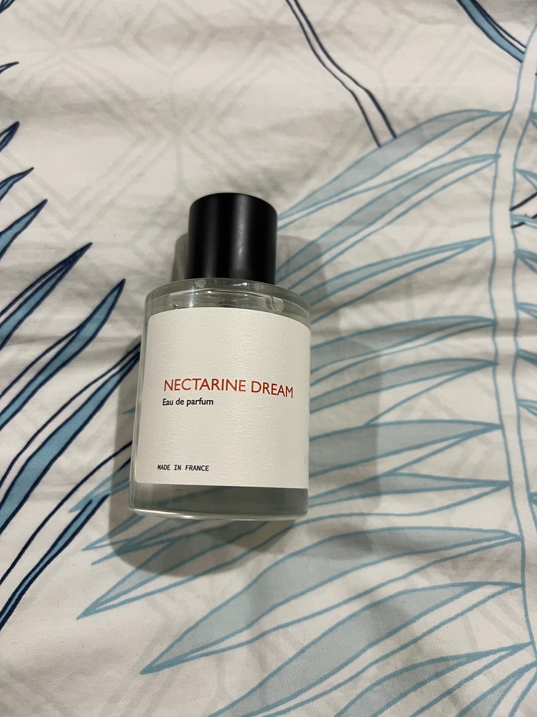 Customer photo review of Nectarine Dream