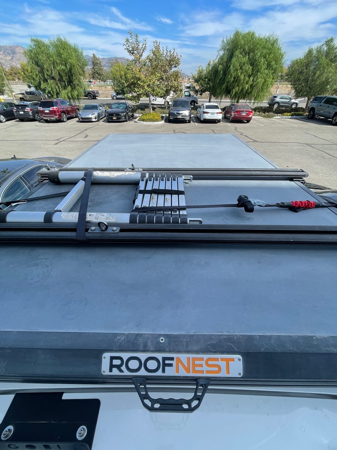 Customer photo review of TorkStrap M500 | 14'x1'' Spring Loaded Tie Down Straps - Adapts to Load Shifts - 1500lbs Max Load - Just Pull Alternative to Ratchet Straps with Hooks - For Securing Motorcycles, Kayaks, ATVs