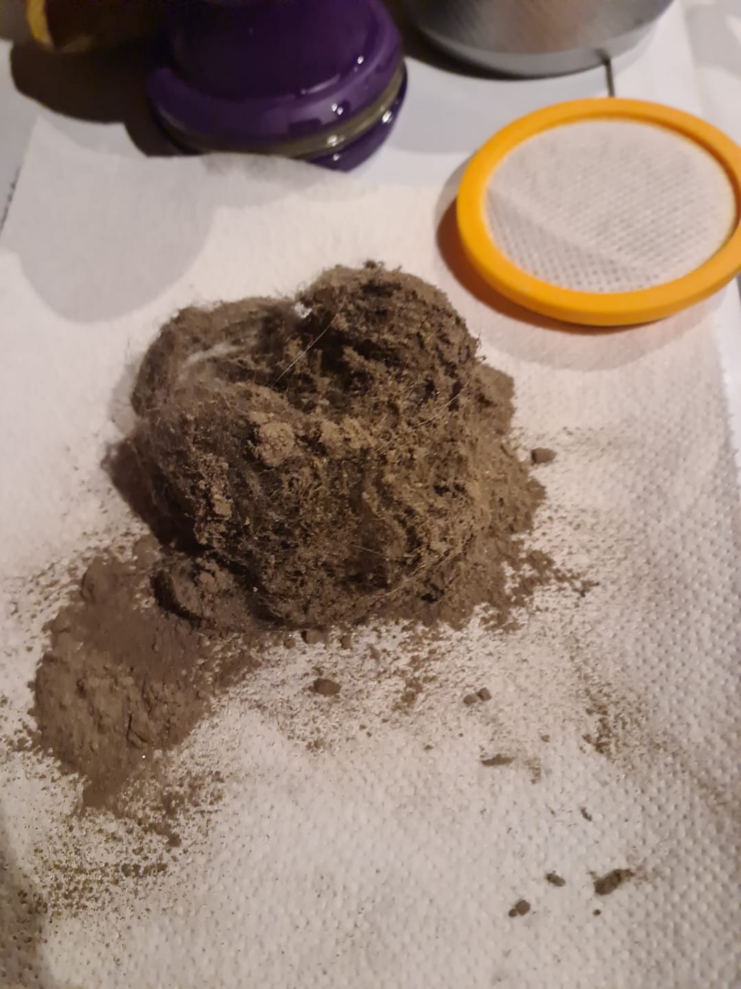 Customer photo review of JV35 UV Anti-Mite Vacuum Cleaner