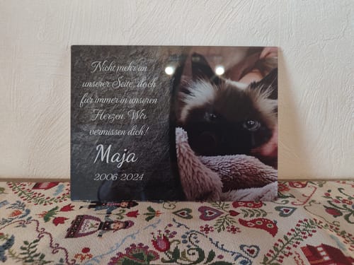 Customer photo review of Katzen Gedenkglas mit Foto (Spezialdruck hinter Acrylglas) 15x20 cm