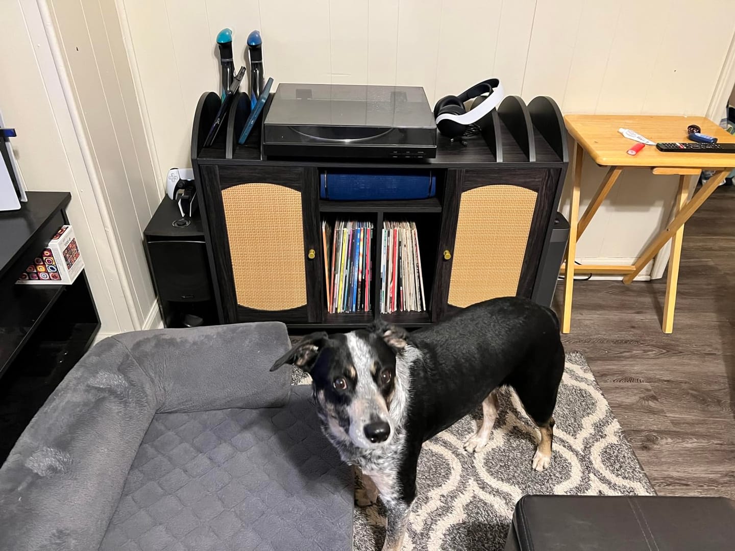 Customer photo review of 38" Rattan Door Record Player Stand