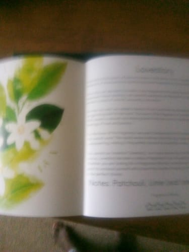 Customer photo review of Discovery Set