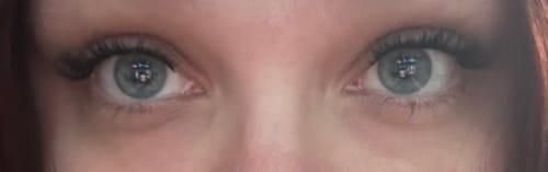 Customer photo review of And so it begins - Everyday Edition