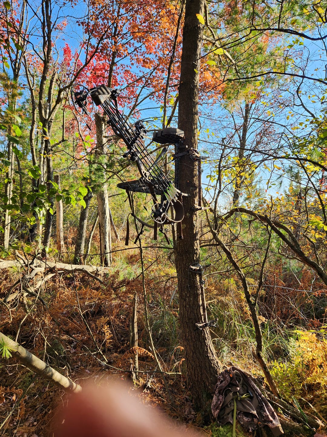 Customer photo review of D'Acquisto Series Hang-On .5 / Public Land Stand ™