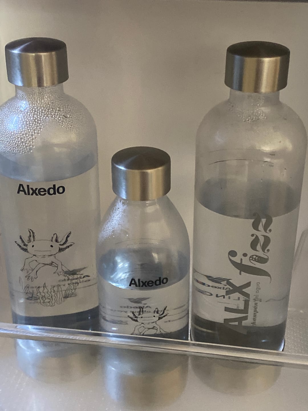 Customer photo review of Botella Ajolote 1000 ml - Edición Limitada