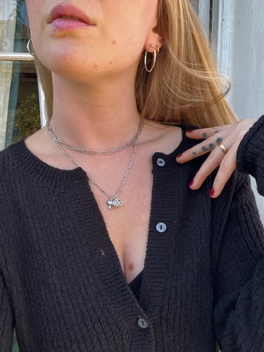 Customer photo review of Woodstock Silver
