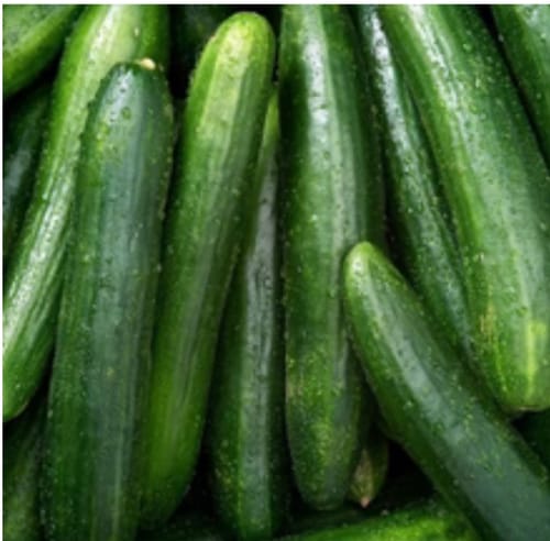 Customer photo review of Organic Cretan cucumber - 1kg