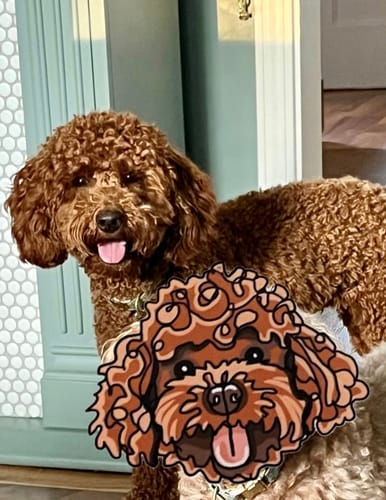 Customer photo review of Goldendoodle Dog Sticker