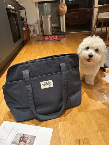 Customer photo review of Midnight┃The Bouclé Carrier