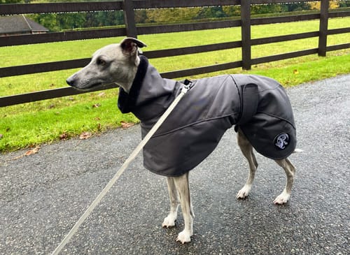 Customer photo review of Ofira Sighthound Coat with Faux Fur Lined Snood