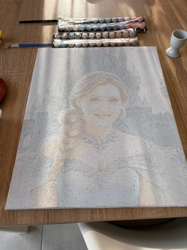Customer photo review of "Frozen Enchantment" Paint by Numbers Kit
