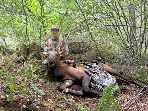 Customer photo review of Beast Broadheads (2-Pack + Practice Tip)