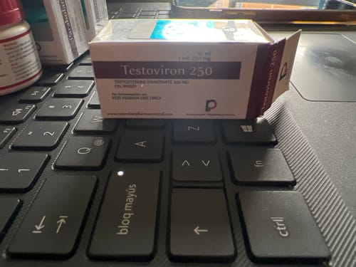 Customer photo review of Testosterona Enantato Rotterdam Pharmaceutical