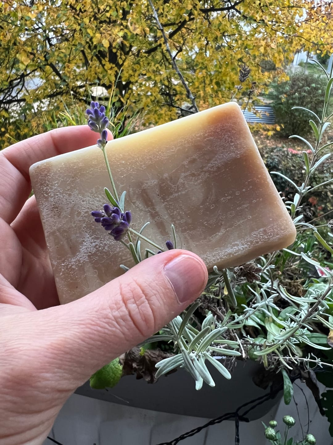 Customer photo review of 15% Ylang Ylang & Patchouli Haarseife (Beruhigend & Tiefenpflegend)