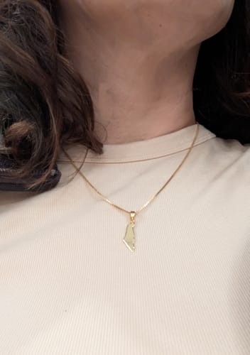Customer photo review of Israel Map Necklace