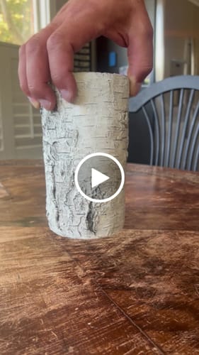 Customer video review of Faux White Birch Vase