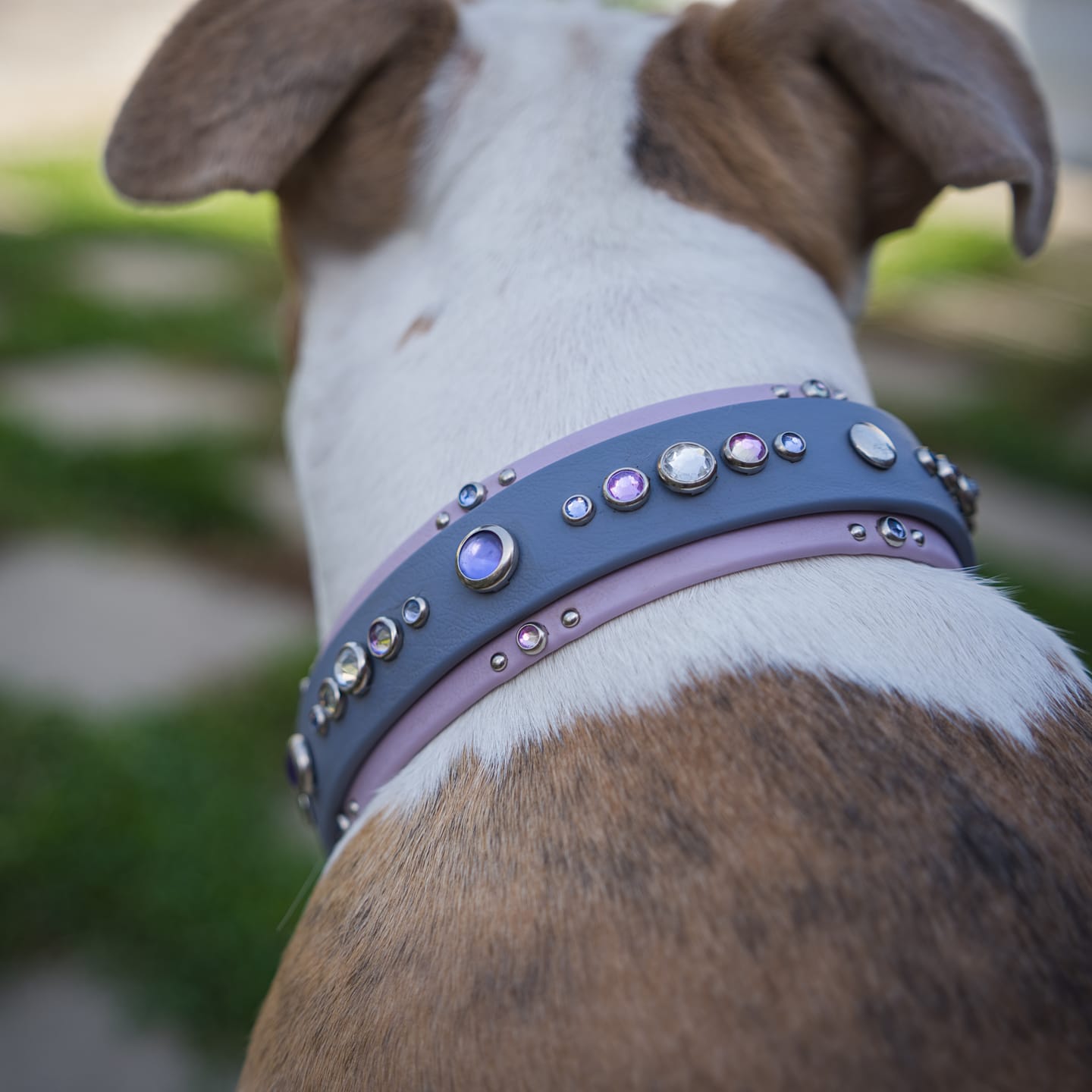 Customer photo review of The 'Bodhi' Collar