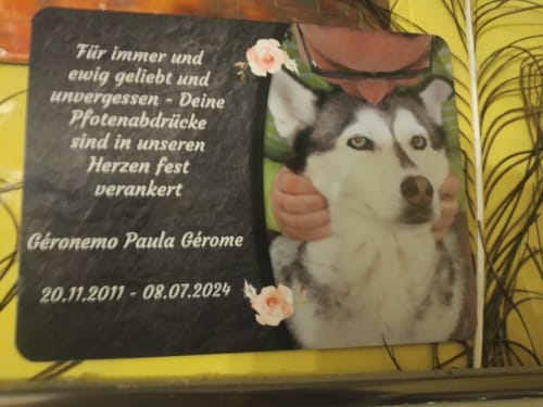 Customer photo review of Hunde Gedenktafel mit Foto & Spruch (UV- & Wetterfest)