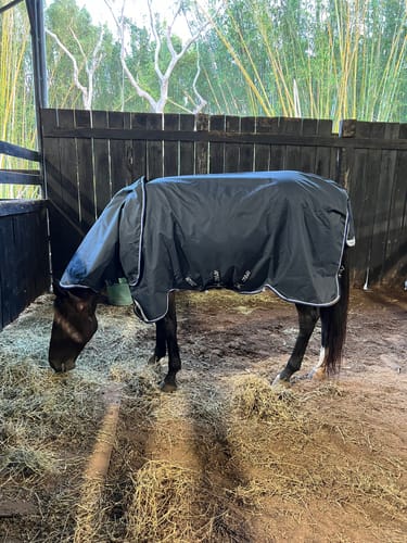 Customer photo review of Amigo Bravo 12 Plus Turnout Lite