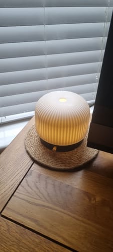 Customer photo review of Ceramic Electric Diffuser Bundle