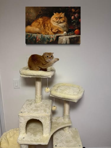 Customer photo review of Fat Red Cat Victorian Portrait Framed Canvas Wall Art