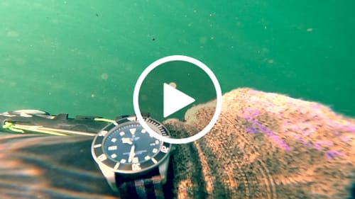 Customer video review of Five Eye Nylon Watch Strap - Solid