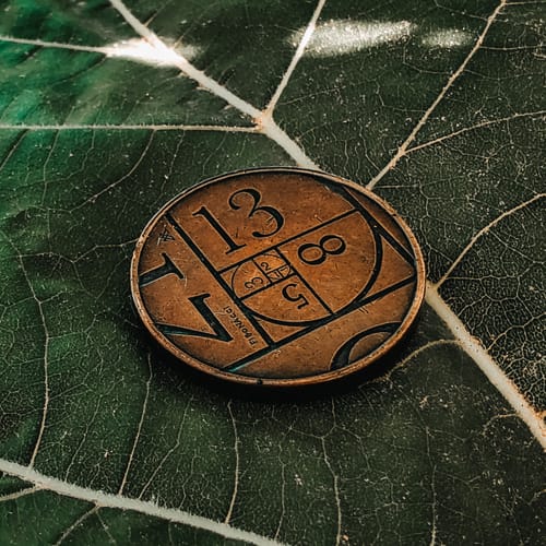 Customer photo review of The Fibonacci Coin