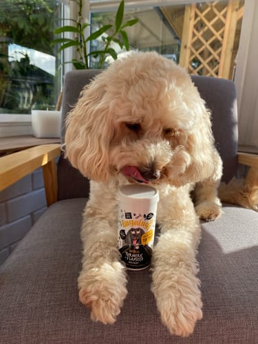 Customer photo review of Turmeric + Flaxseed Supplement for Dogs (70g)