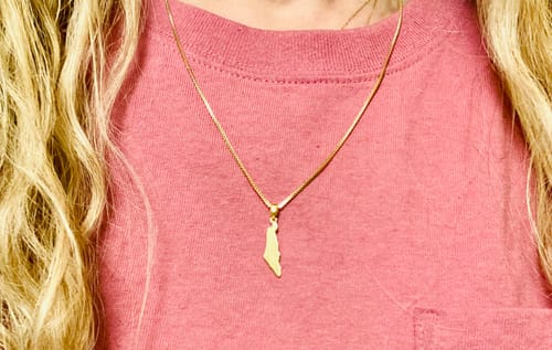 Customer photo review of Israel Map Necklace