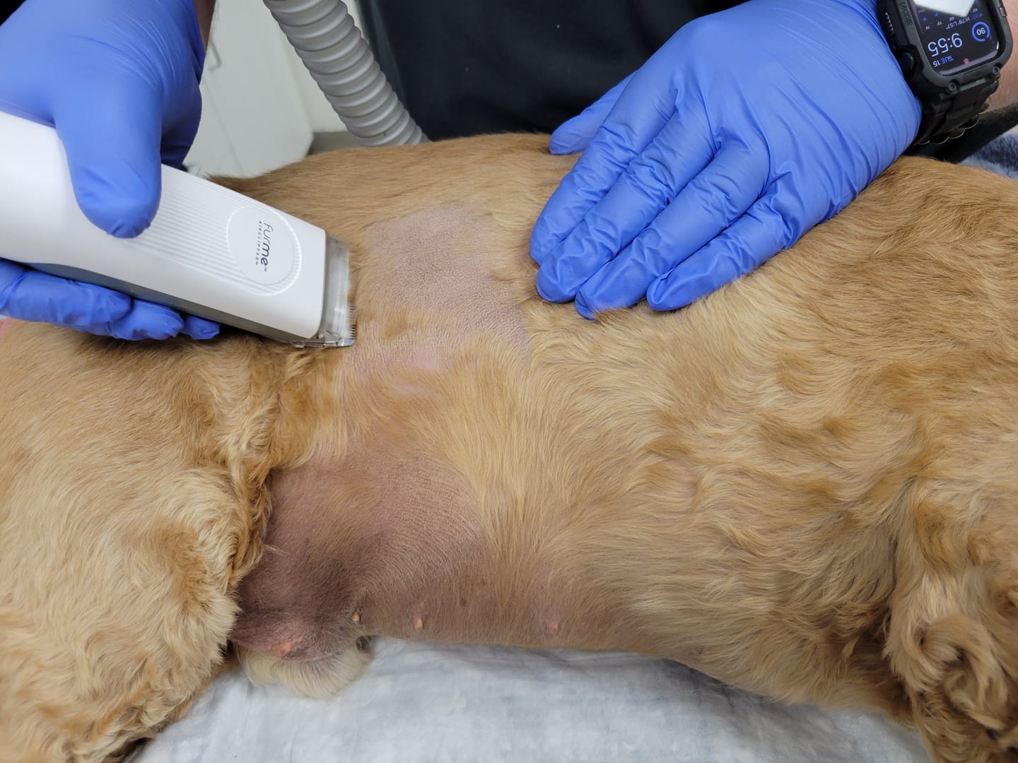 Customer photo review of Professional Veterinarian Pre-Surgical Vacuum Kit