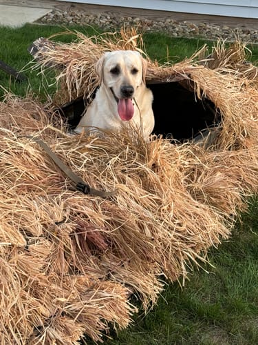 undefined review of Hunting Blind Raffia Grass (Pack) image 1 out of 1