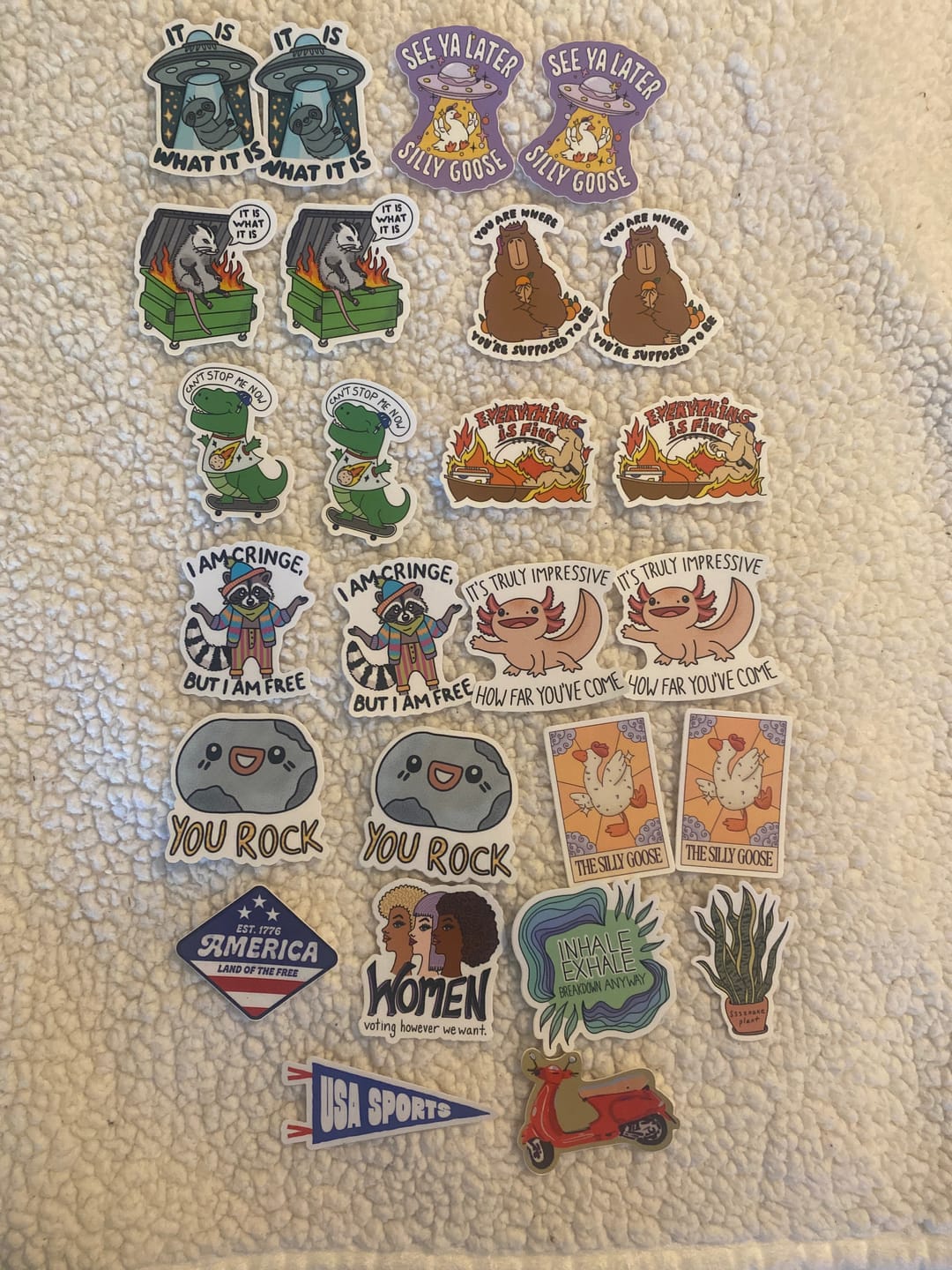 Customer photo review of The Best Sticker Subscription Box from Big Moods