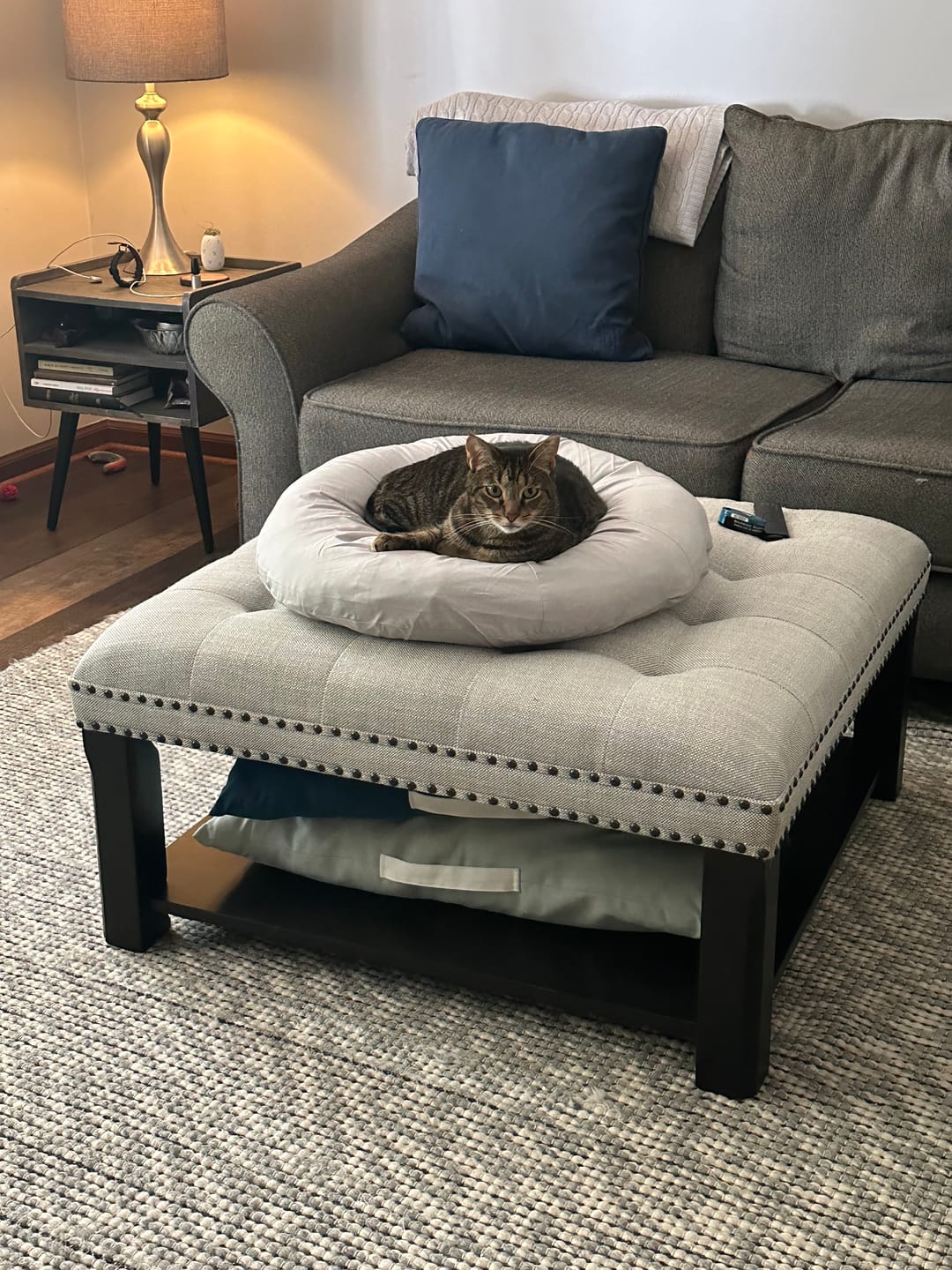 Customer photo review of Earl Grey Pudding Bed