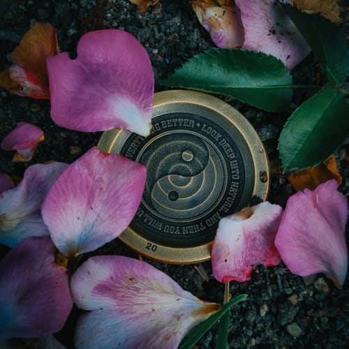 Customer photo review of Balance Stone | Labyrinth