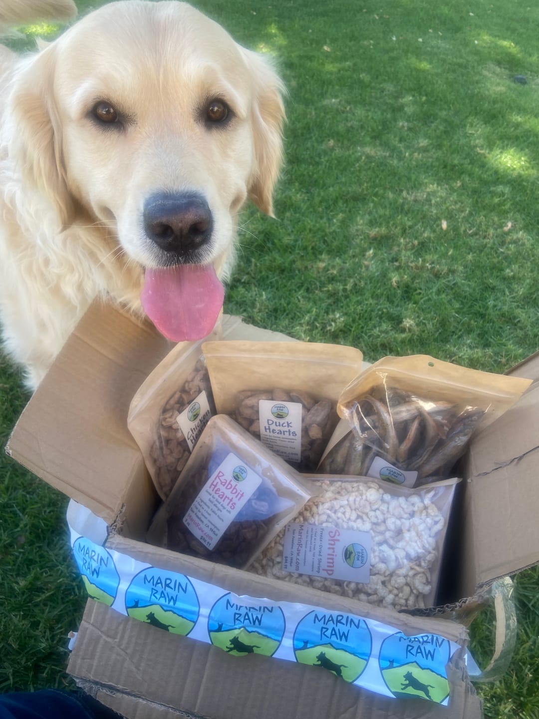 Customer photo review of Capelin