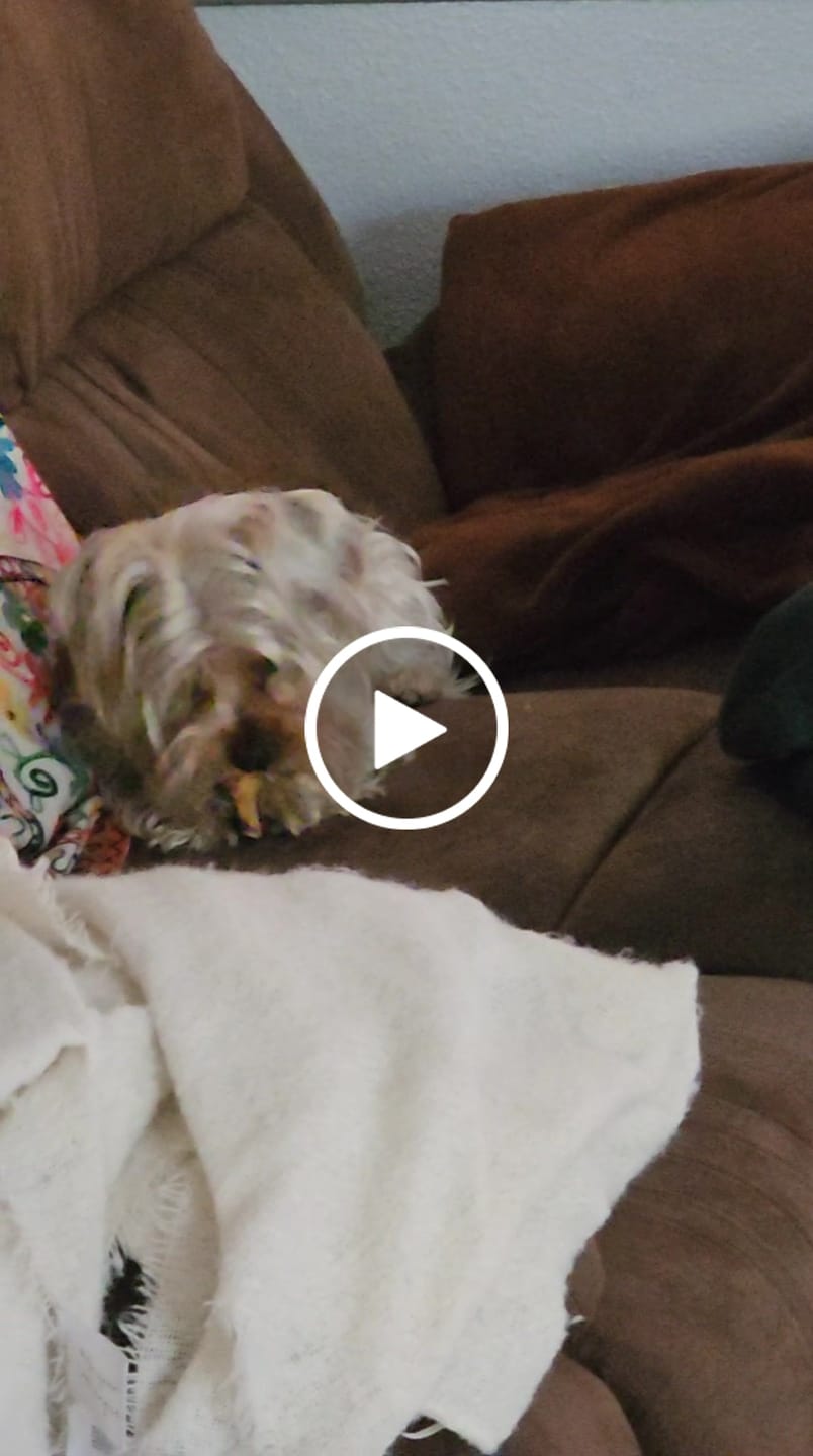 Customer video review of Patas de pollo