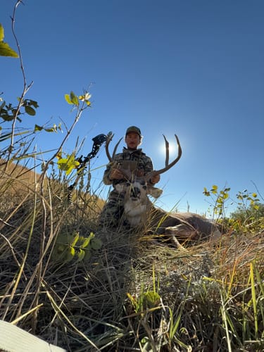 Customer photo review of Beast Broadheads (2-Pack + Practice Tip)