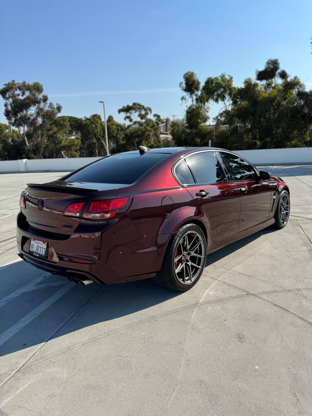 Customer photo review of Glossy Metallic Black Rose Vinyl Wrap