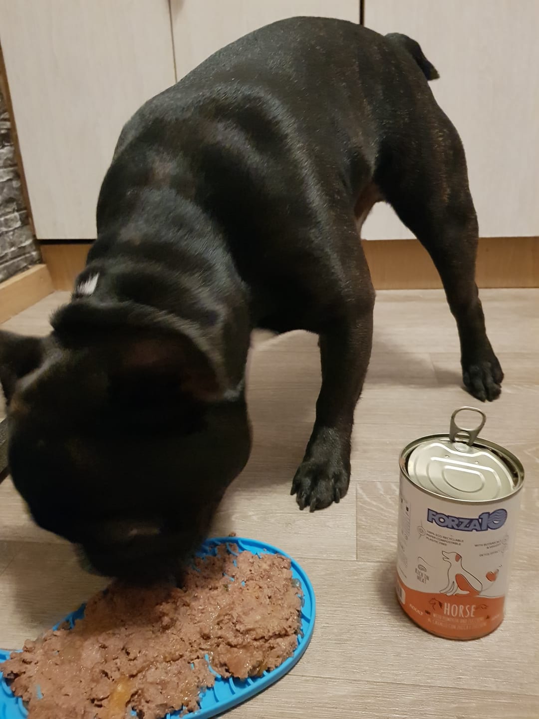 Customer photo review of Konservi suņiem ar ZIRGA gaļu, ķirbi un cukīni