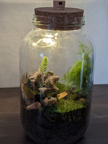 Customer photo review of Karline und der Flaschengarten - Kinderbuch und Flaschengarten