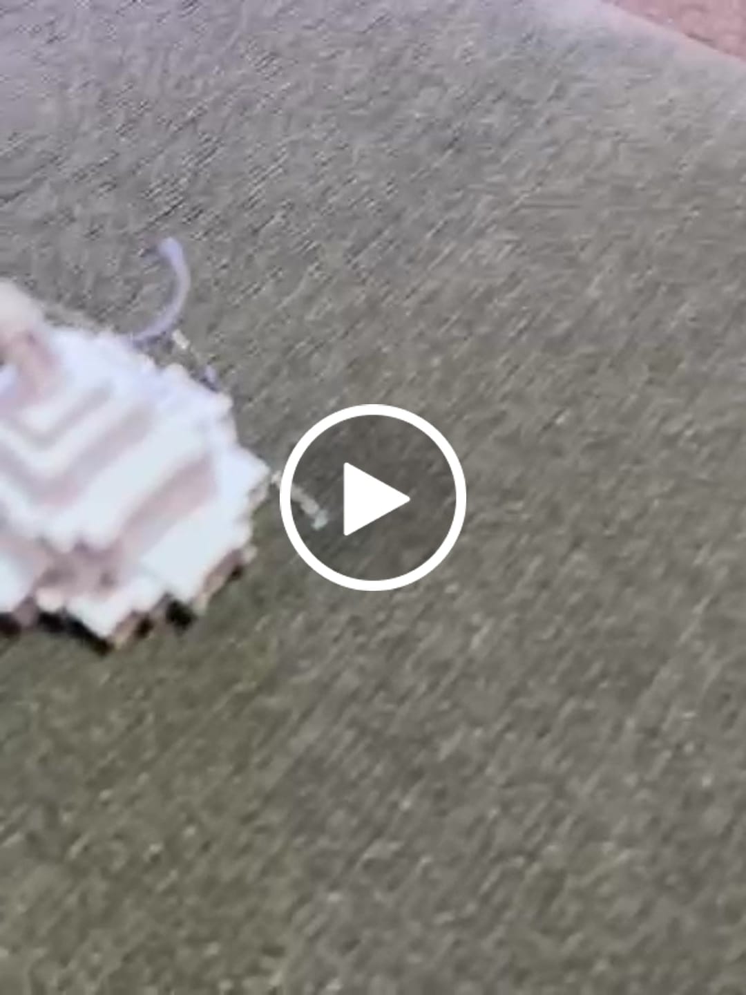 Customer video review of Deseret Peak Utah Temple Christmas Ornament