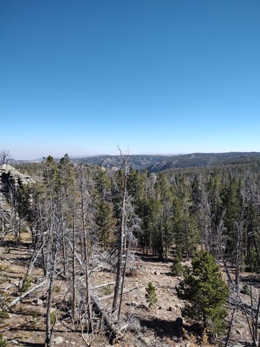 Customer photo review of 10X42 Black HD Binoculars for Adults, BAK4 Prism FMC Lens, Military Army Zoom Optics, Waterproof, Fogproof