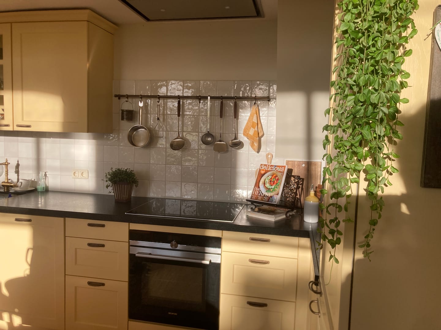 Customer photo review of Aged Brass Hanging Rail